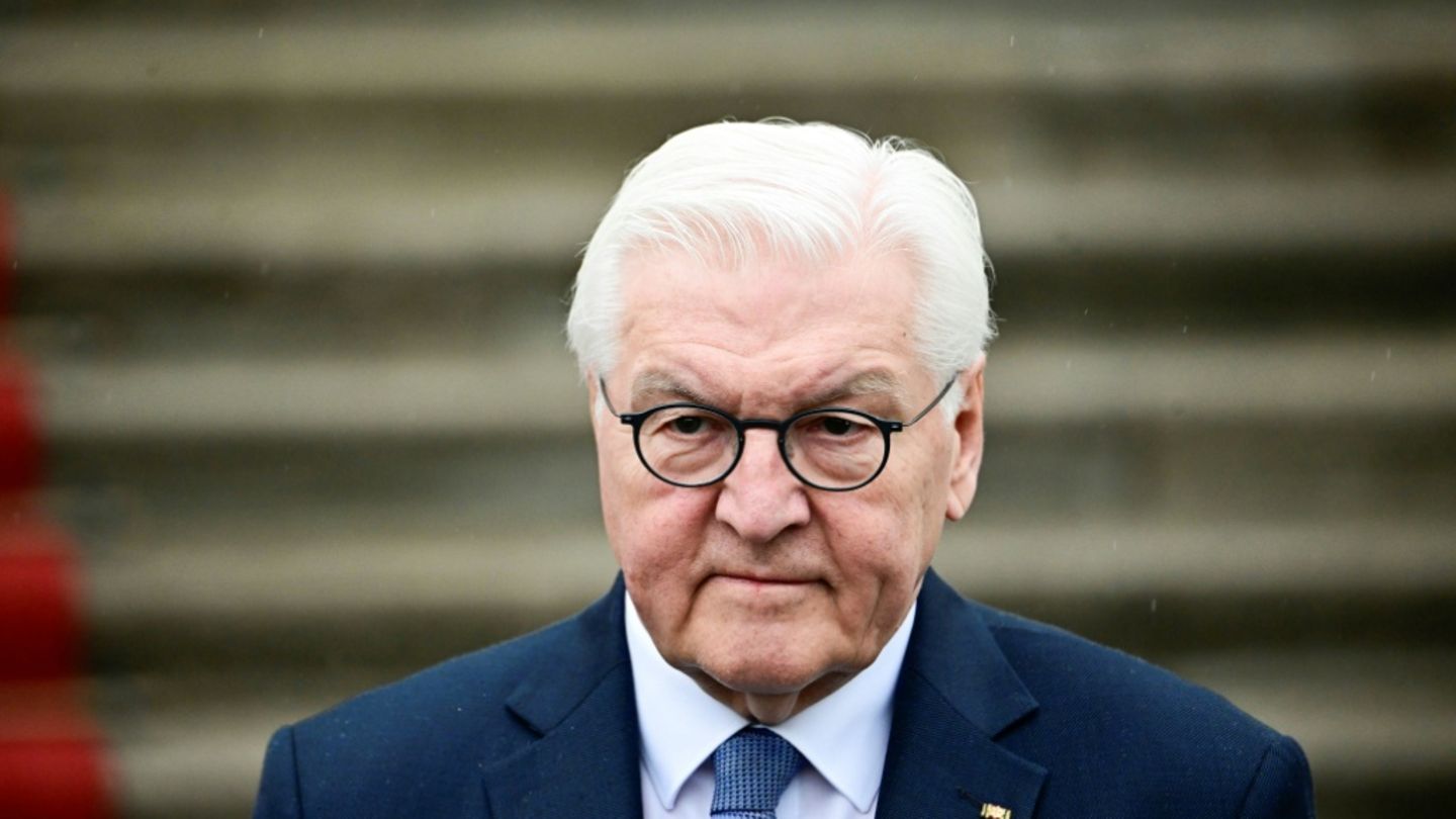 Bundespräsident Steinmeier