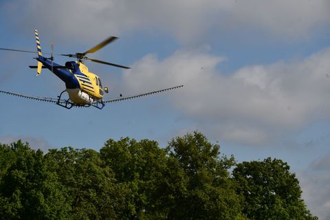 Im Landkreis Prignitz hebt ein Hubschrauber mit Spritzmittel im Einsatz gegen den Eichenprozessionsspinner ab. Foto: Bernd Atzen