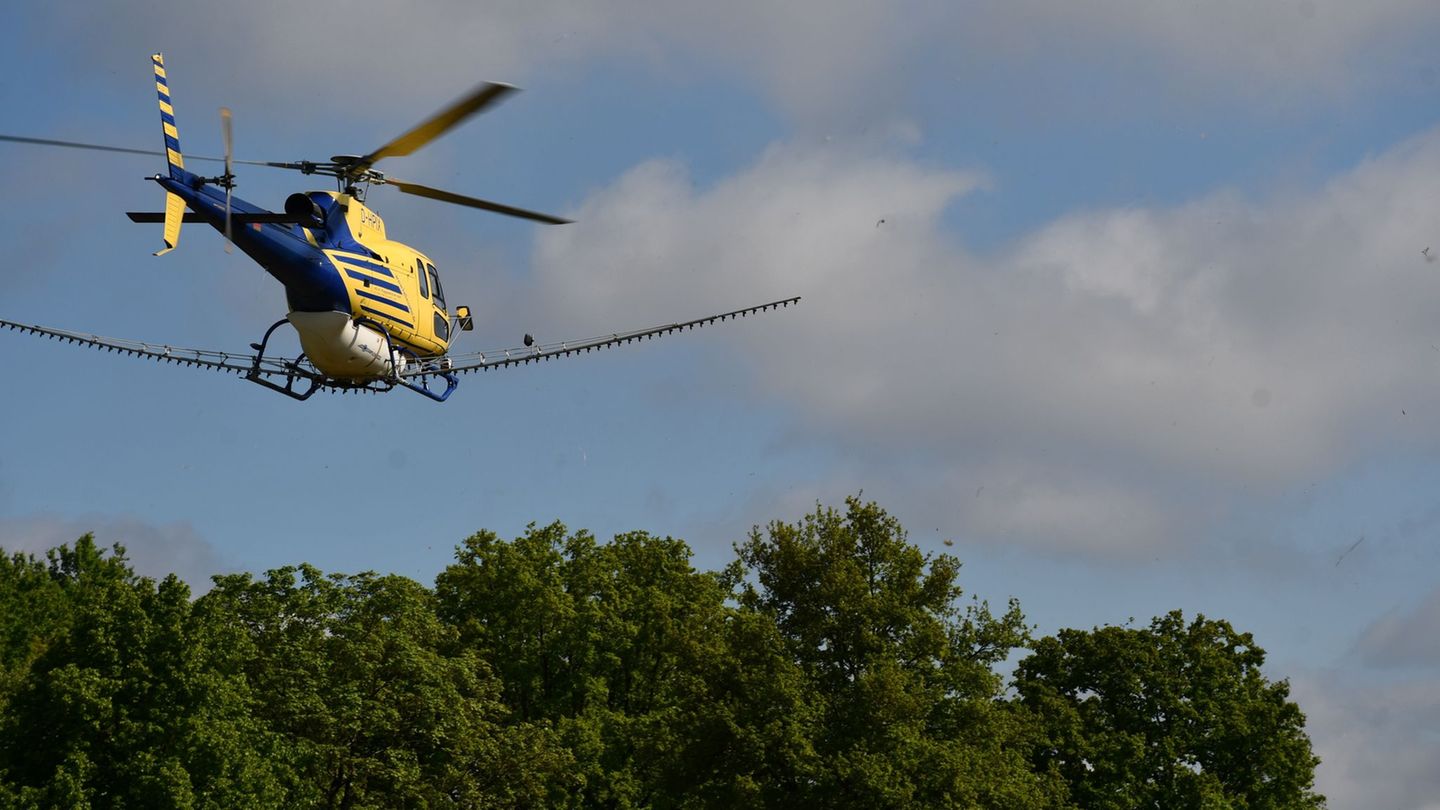 Im Landkreis Prignitz hebt ein Hubschrauber mit Spritzmittel im Einsatz gegen den Eichenprozessionsspinner ab. Foto: Bernd Atzen