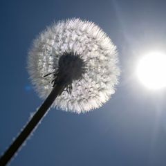 Am Wochenende gibt es in Sachsen, Sachsen-Anhalt und Thüringen einen Vorgeschmack auf den Hochsommer. Laut dem Deutschen Wetterd