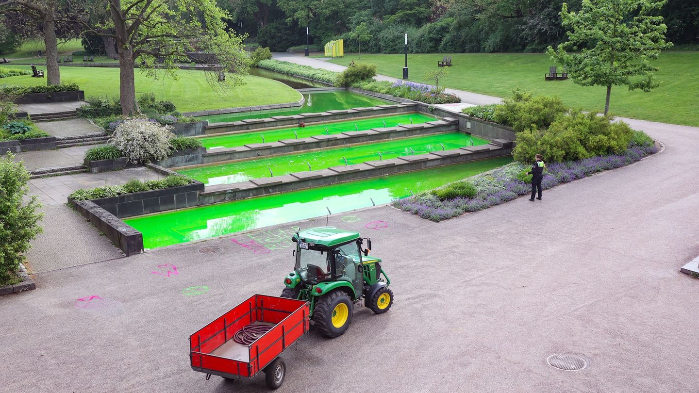 Alles grün in den Wallanlagen. Auch das Wasser. Foto: Bodo Marks/dpa