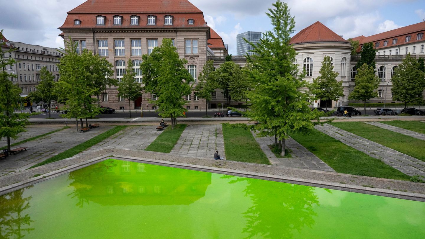 "Extinction Rebellion" wirft Bundeswirtschaftsministerin Katherina Reiche (CDU) eine zu konzernfreundliche Gaspolitik vor. Foto: