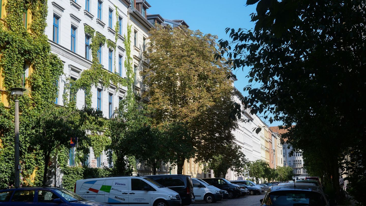 In Berlin sollen bis 2040 Hunderttausende neue Bäume gepflanzt und auch Hausfassaden begrünt werden, um besser für den Klimawand