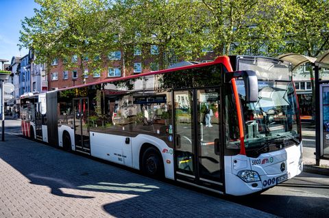 Hier ist ein Bus von außen zu sehen.