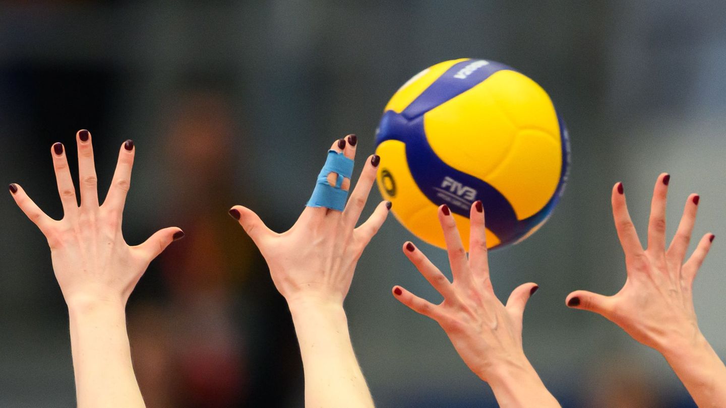 Dresdner Volleyballerinnen verpflichten Morgan Geddes. (Symbolbild) Foto: Robert Michael/dpa
