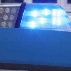 Der Fahrer und die jugendlichen Mitfahrer kamen laut Polizei ins Krankenhaus. (Symbolbild) Foto: Bodo Schackow/dpa