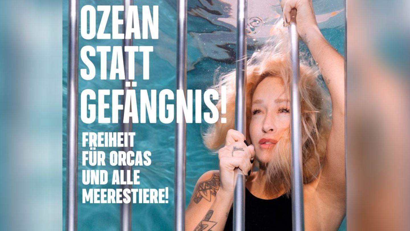 Sängerin und Tierschützerin Sarah Connor macht sich für Orcas und Delfine stark.