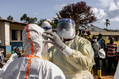 Ebola gehört zu den gefährlichsten Erregern und weist eine sehr hohe Sterblichkeitsrate auf.