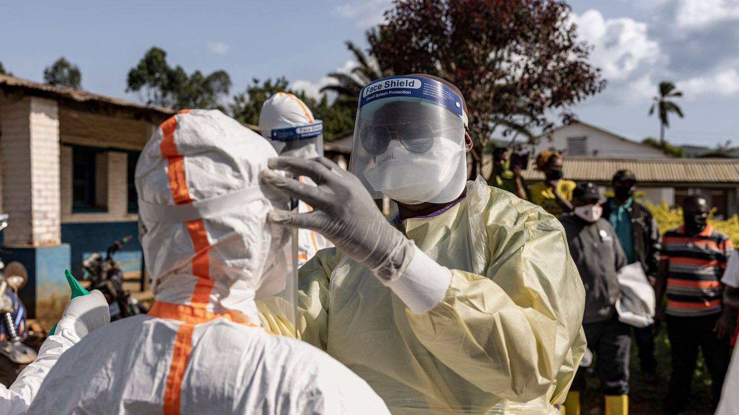 Ebola gehört zu den gefährlichsten Erregern und weist eine sehr hohe Sterblichkeitsrate auf.