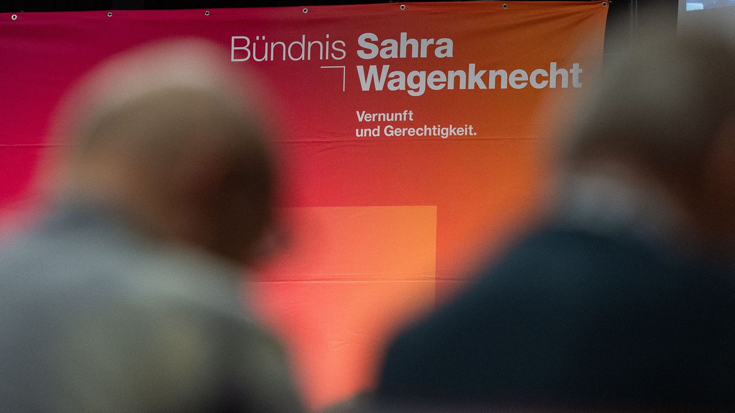Die bislang größte Parteispende in diesem Jahr ging ans BSW. (Symbolbild) Foto: Paul Glaser/dpa