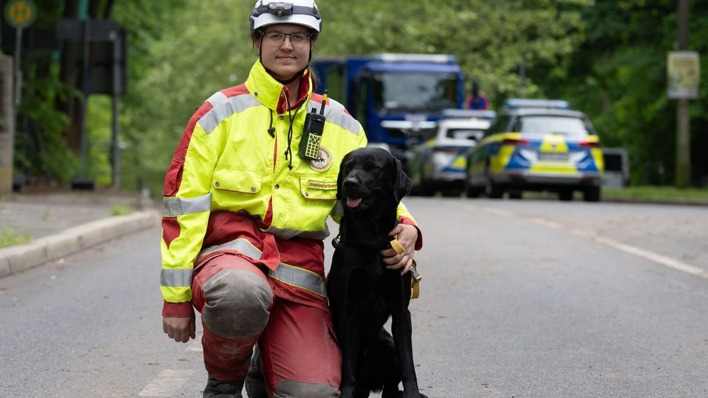 Suchhund Capper schnuppert gegen die Zeit im Trümmerfeld Foto: Sebastian Kahnert/dpa