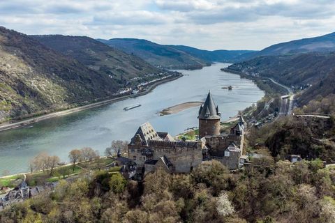 Das Gebiet der Bundesgartenschau erstreckt sich über 67 Kilometer entlang des Rheins. (Symbolbild) Foto: Boris Roessler/dpa