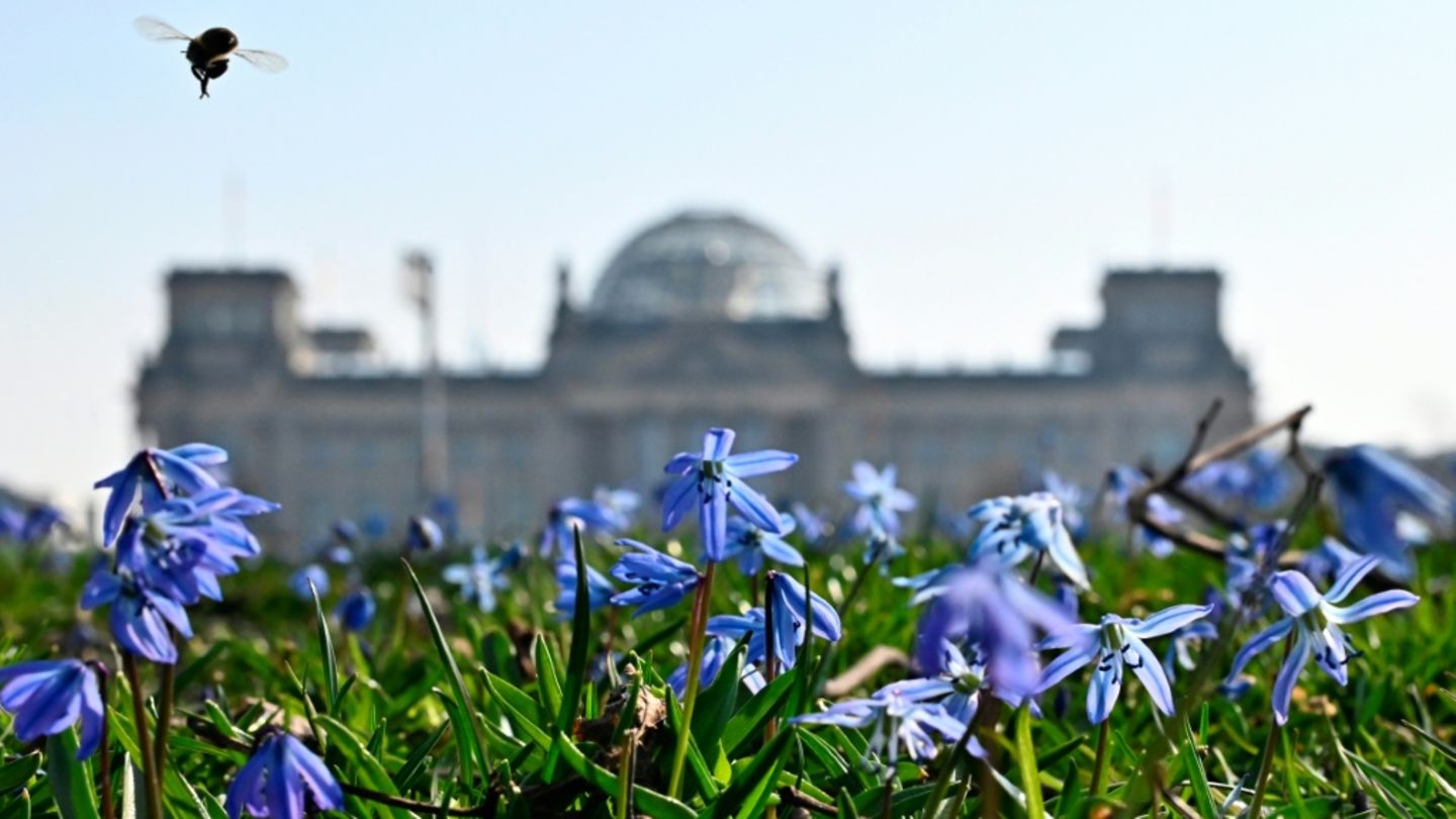 Bundestag in Berlin
