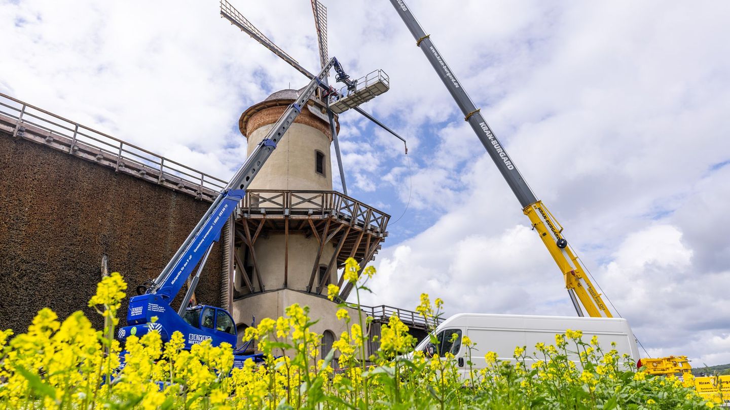 Die Windmühle in Bad Nauhei soll zum Mühlentag wieder laufen. Foto: Christian Lademann/dpa