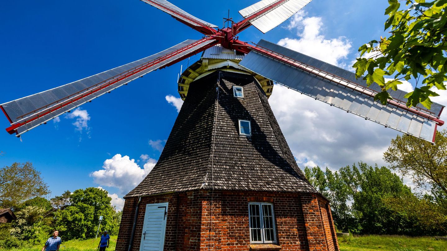 Auch die Windmühle Stove ist beim Mühlentag am Pfingstmontag dabei. Foto: Jens Büttner/dpa