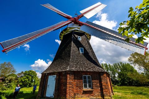 Auch die Windmühle Stove ist beim Mühlentag am Pfingstmontag dabei. Foto: Jens Büttner/dpa