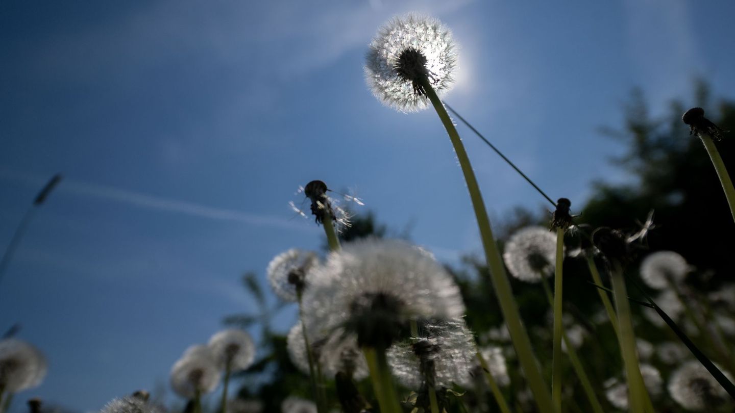 Es wird sommerlich in Bayern. (Archivbild) Foto: Pia Bayer/dpa