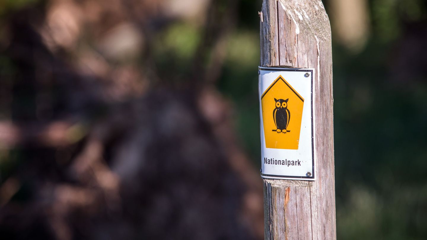 Mit Flora und Fauna sollten die Menschen in der Natur behutsam umgehen. (Symbolbild) Foto: Jens Büttner/dpa-Zentralbild/ZB