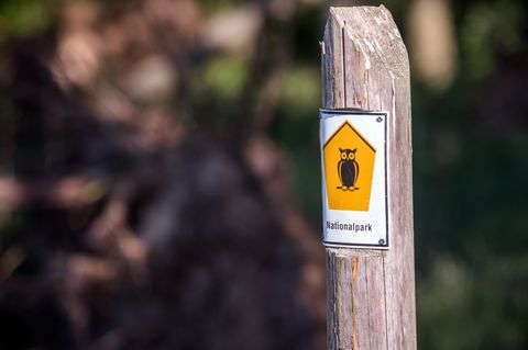 Mit Flora und Fauna sollten die Menschen in der Natur behutsam umgehen. (Symbolbild) Foto: Jens Büttner/dpa-Zentralbild/ZB