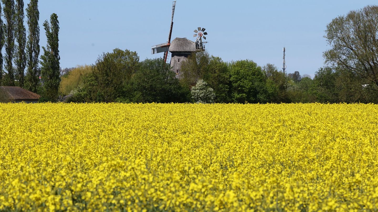 Das lange Wochenende verspricht Sommerwetter im Norden. (Symbolbild) Foto: Bernd Wüstneck/dpa