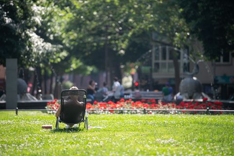 Am Wochenende wird es sommerlich mit ganz viel Sonnenschein. (Symbolbild) Foto: Sebastian Gollnow/dpa