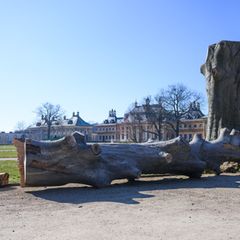 Die Staatlichen Schlösser, Burgen und Gärten haben ein Modellprojekt zur Auswirkung des Klimawandels in historischen Gärten been