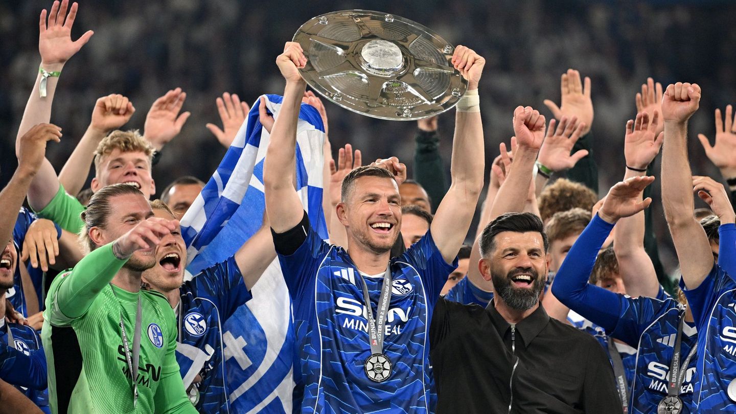 Edin Dzeko soll noch ein Jahr Bundesliga mit Schalke spielen. (Archivbild) Foto: Bernd Thissen/dpa