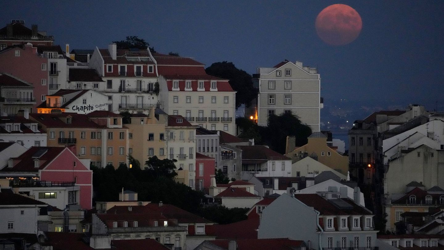 Nach der Mutter wurde nicht nur in Portugal fieberhaft gesucht. (Symbolbild) Foto: Armando Franca/AP/dpa
