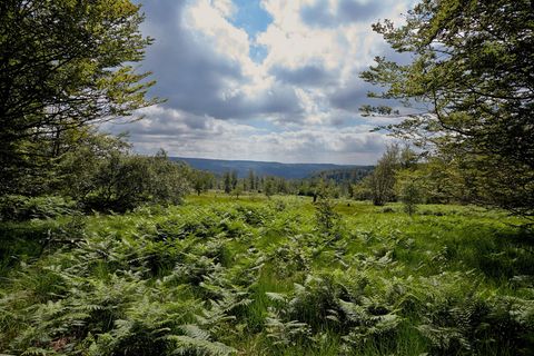 Der Nationalpark wurde vor elf Jahre eröffnet (Archivbild) Foto: Thomas Frey/dpa/dpa-tmn