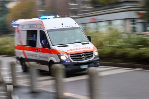 In Mecklenburg-Vorpommern ist eine Erkrankung mit dem gefährlichen Bornavirus nachgewiesen worden. Es kann nach Behördenangaben