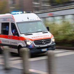 In Mecklenburg-Vorpommern ist eine Erkrankung mit dem gefährlichen Bornavirus nachgewiesen worden. Es kann nach Behördenangaben