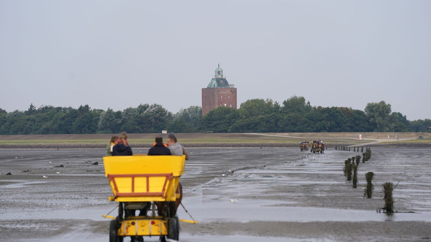 Die Sanierungsarbeiten des Neuwerker Leuchtturms haben begonnen. (Symbolbild) Foto: Marcus Brandt/dpa