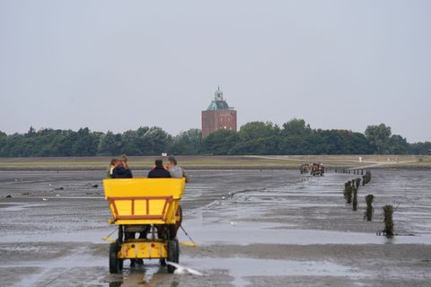 Die Sanierungsarbeiten des Neuwerker Leuchtturms haben begonnen. (Symbolbild) Foto: Marcus Brandt/dpa