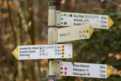 Der 83-Jährige war beim Wandern im Pfälzerwald gestürzt. (Symbolbild) Foto: Uwe Anspach/dpa