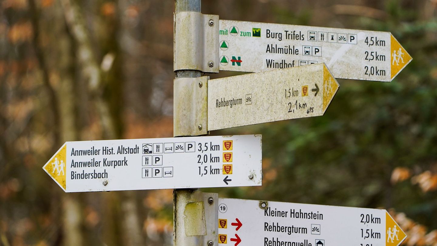 Der 83-Jährige war beim Wandern im Pfälzerwald gestürzt. (Symbolbild) Foto: Uwe Anspach/dpa