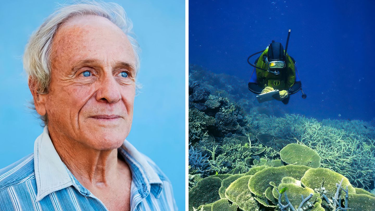Der Pate der Riffe: Wie Charlie Veron das Great Barrier Reef retten will