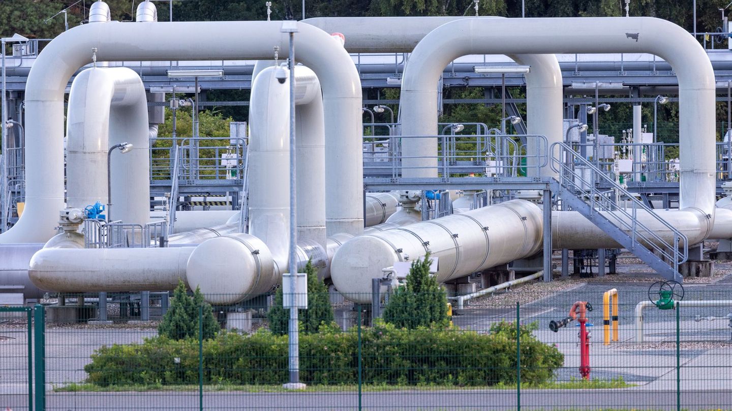 Die Idee, ein Gaskraftwerk von der Nord Stream 1-Leitung in Lubmin in die Ukraine zu verschenken, beschäftigt den Bundestag. (Ar