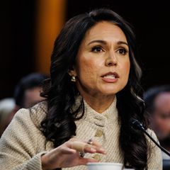 Tulsi Gabbard