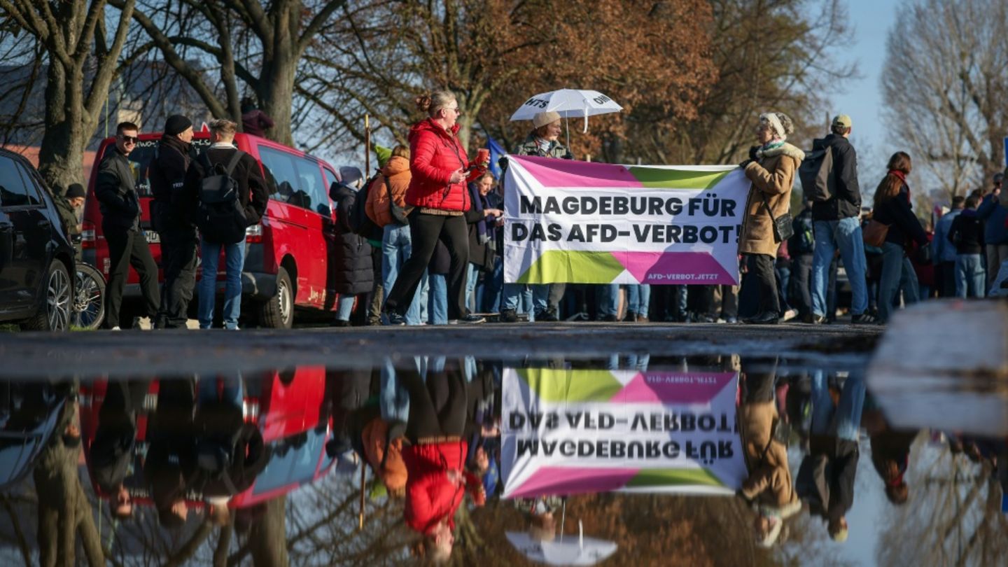 Demo gegen AfD in Magdeburg