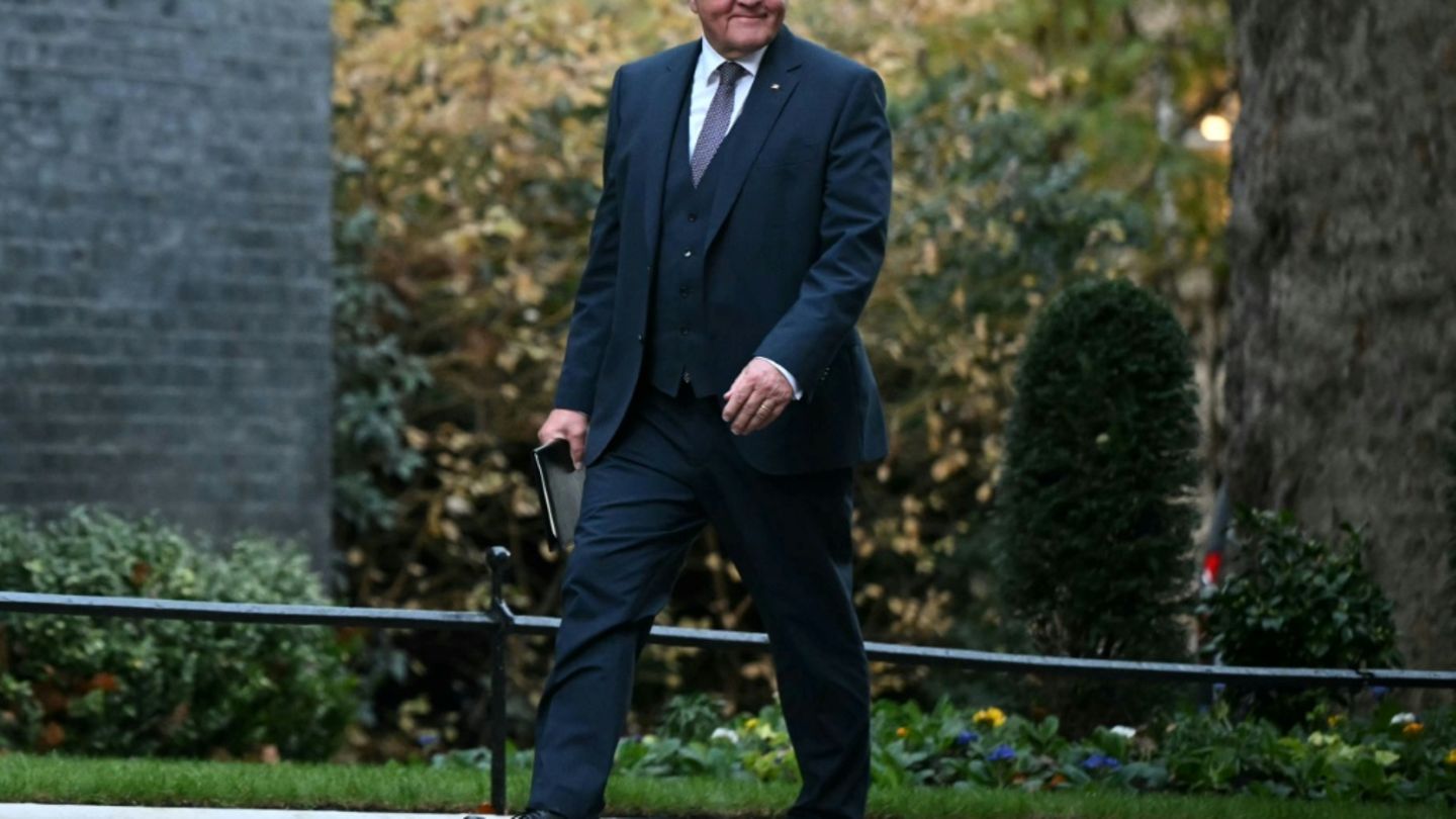 Bundespräsident Frank-Walter Steinmeier