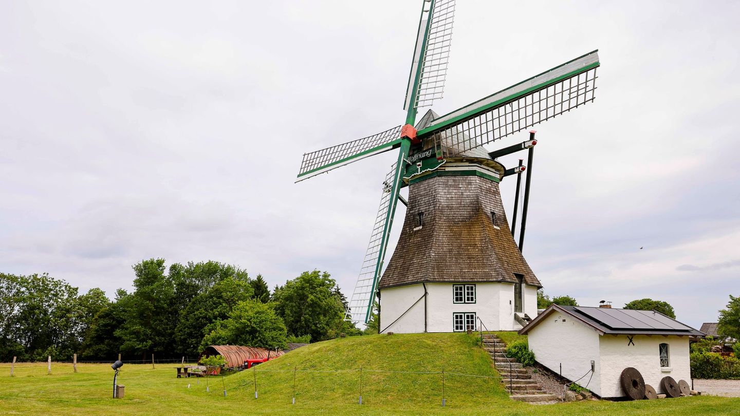 Die verschiedenen Holländermühlen gehören wohl zu den bekanntesten Windmühlentypen. (Archivbild) Foto: Frank Molter/dpa