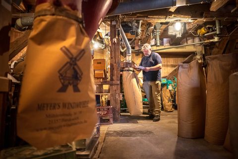 Müller Eckhard Meyer betreibt in Bardowick das Mahlen noch als Handwerkskunst. Foto: Sina Schuldt/dpa