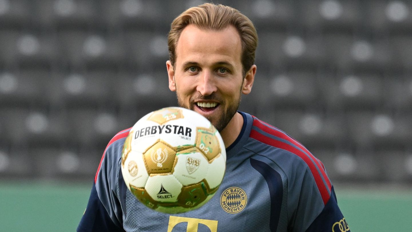 Harry Kane hat auf dem Weg ins Finale sieben der 14 Bayern-Tore erzielt. Foto: Soeren Stache/dpa