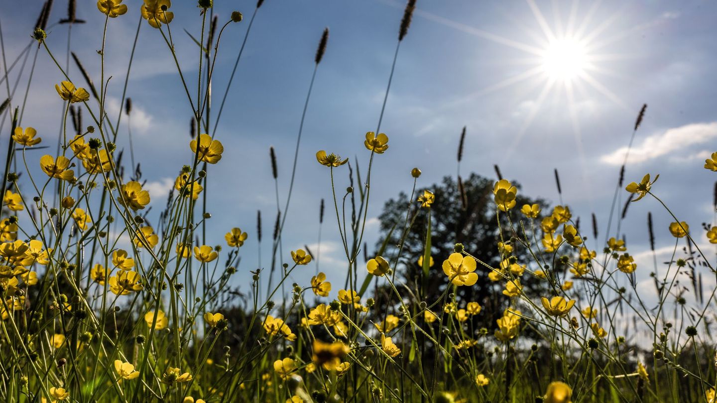 In Berlin und Brandenburg werden am Wochenende die 30 Grad erreicht. Foto: Frank Hammerschmidt/dpa