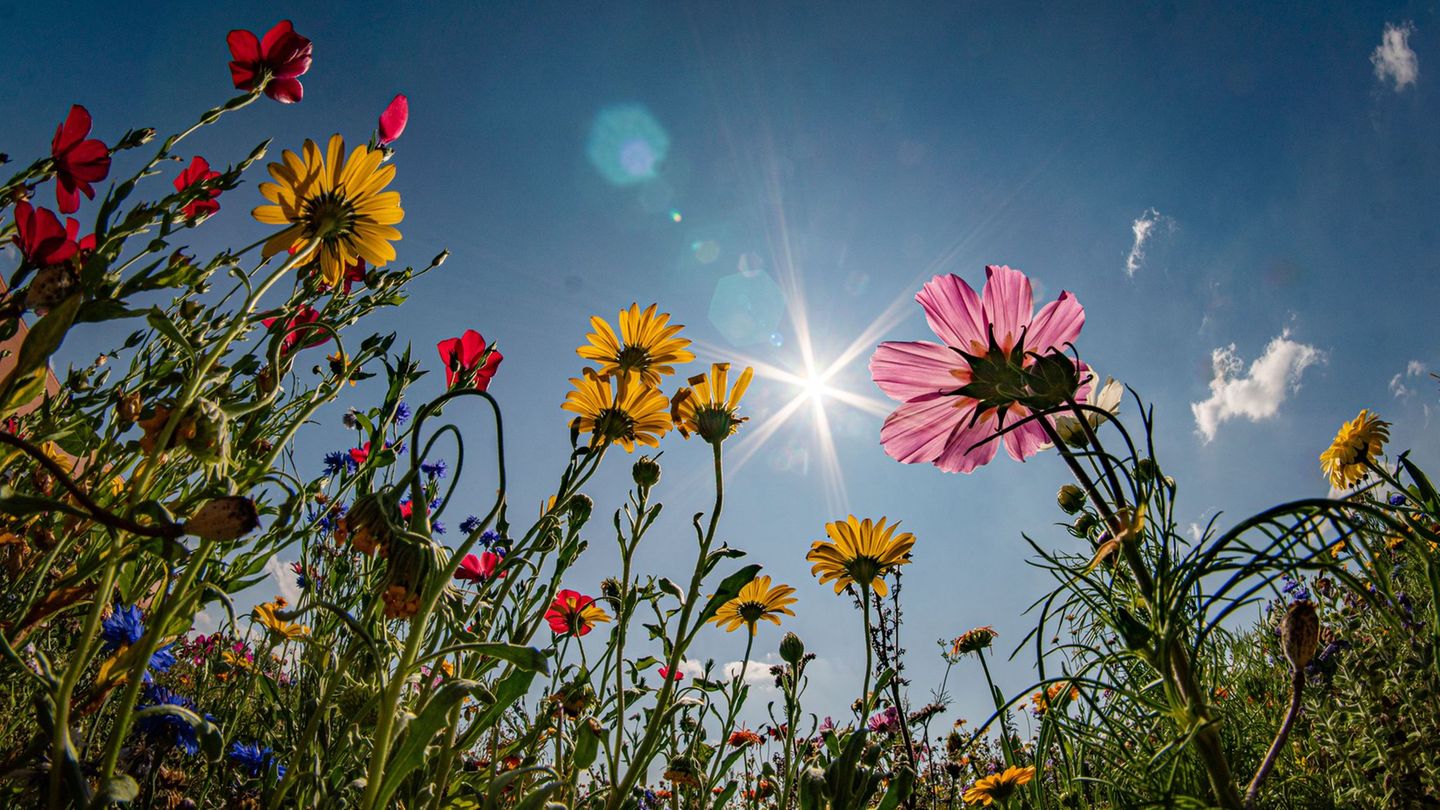 Die Temperaturen klettern am Wochenende auf bis zu 34 Grad. (Archivbild) Foto: Frank Rumpenhorst/dpa