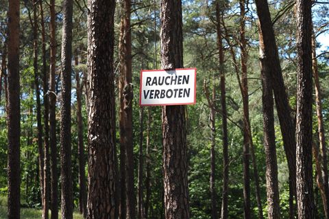 Rauchen in Brandenburgs Wäldern ist das ganze Jahr über verboten. (Archivbild) Foto: Soeren Stache/dpa-Zentralbild/ZB
