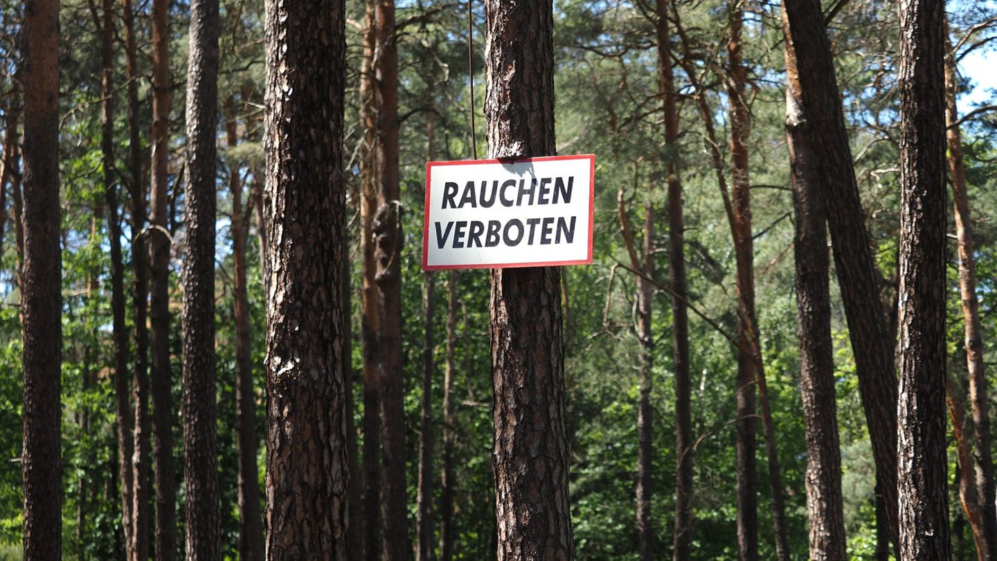Rauchen in Brandenburgs Wäldern ist das ganze Jahr über verboten. (Archivbild) Foto: Soeren Stache/dpa-Zentralbild/ZB