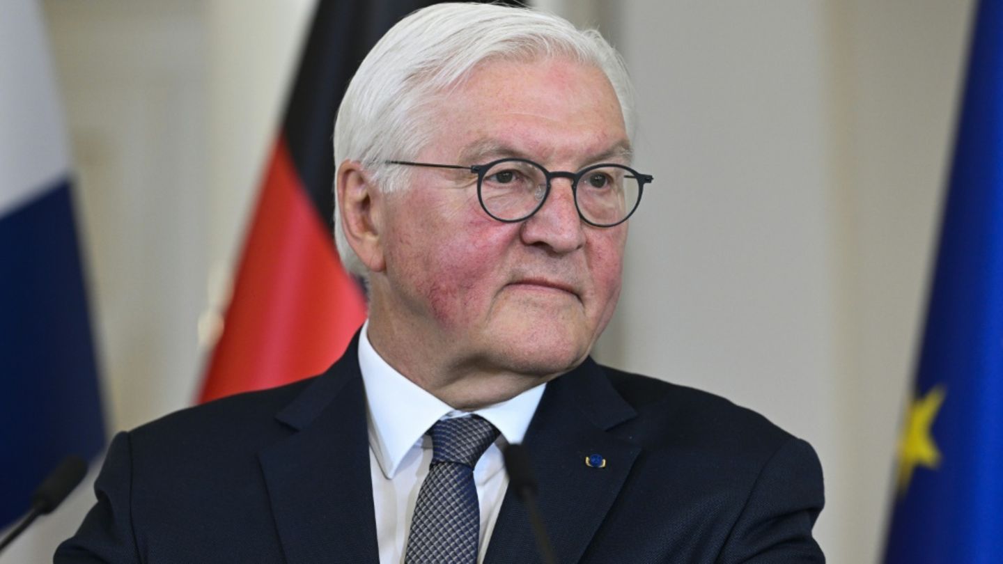 Bundespräsident Steinmeier