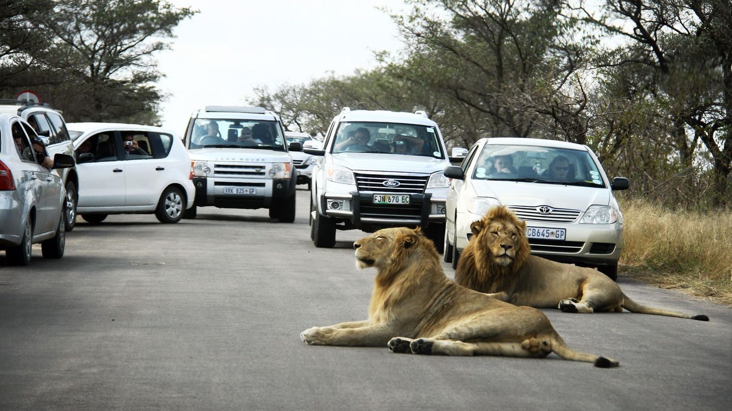 Kruger-Nationalpark