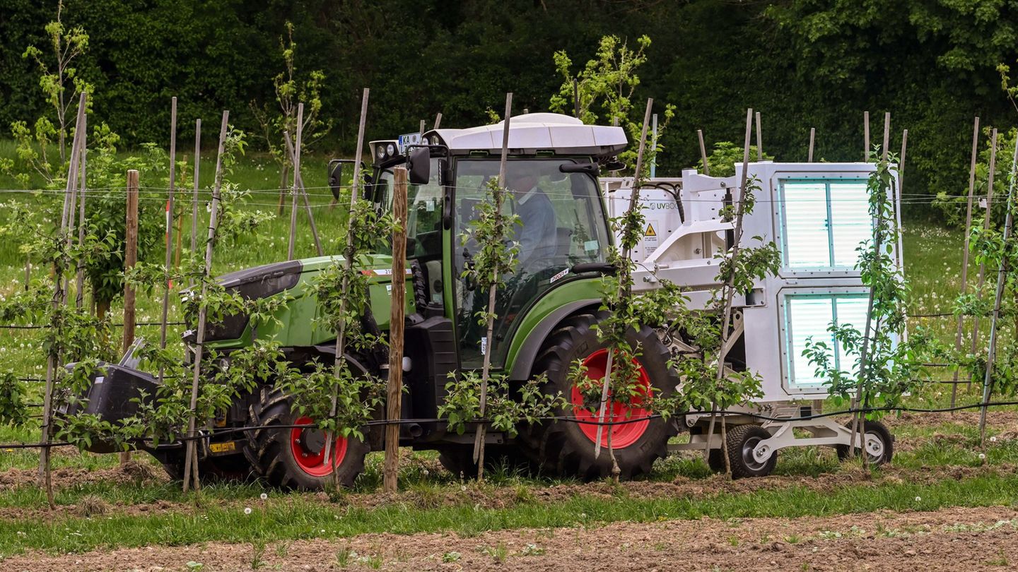 Das Landwirtschaftliche Technologiezentrum (LTZ) Augustenberg testet den UV-Booster. Foto: Uli Deck/dpa